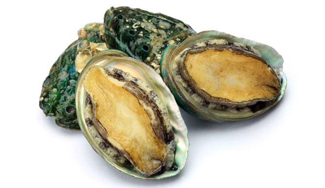 Bào ngư